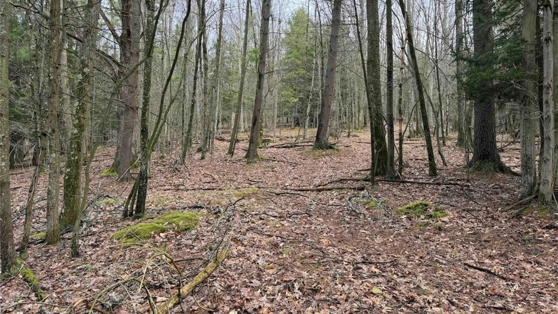 Property at McCann Hollow Road, Olean, NY 14760 24