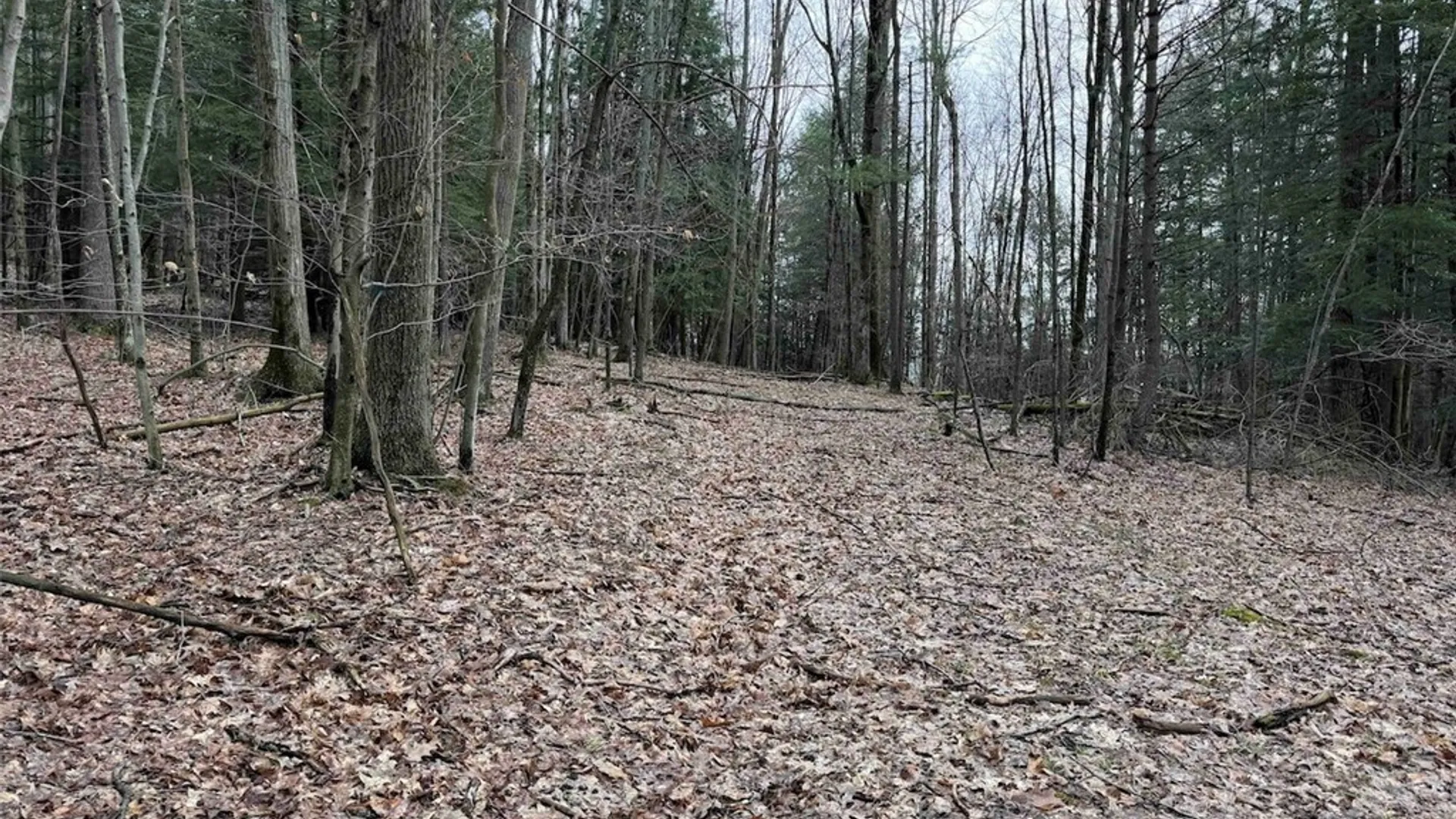 Property at McCann Hollow Road, Olean, NY 14760 25