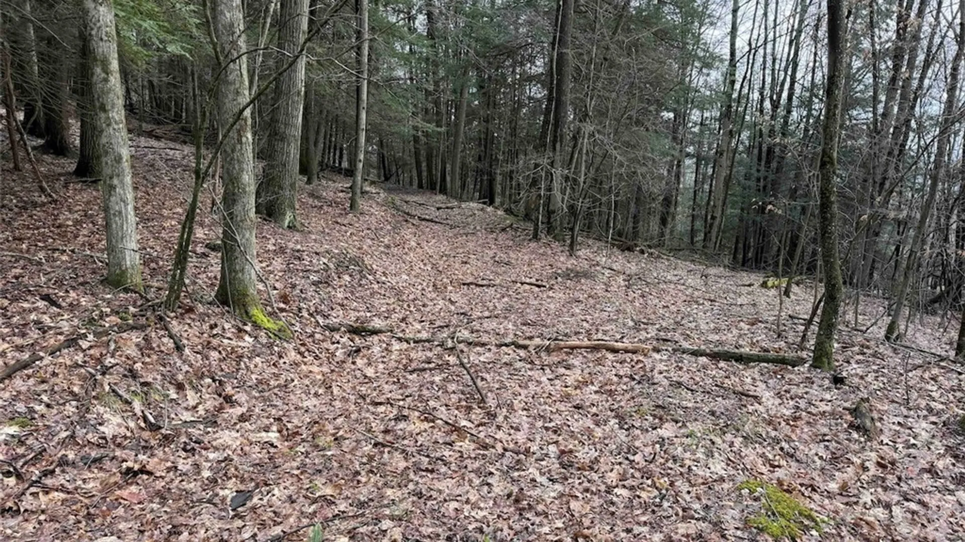 Property at McCann Hollow Road, Olean, NY 14760 26