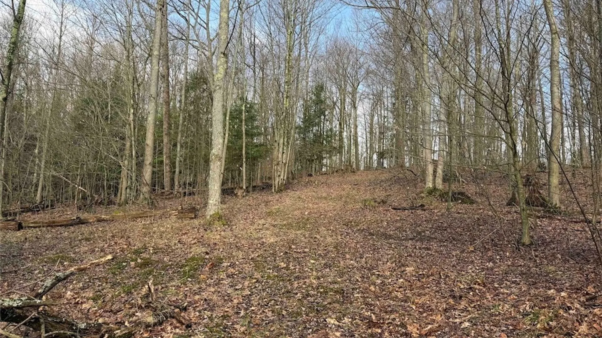 Property at McCann Hollow Road, Olean, NY 14760 27