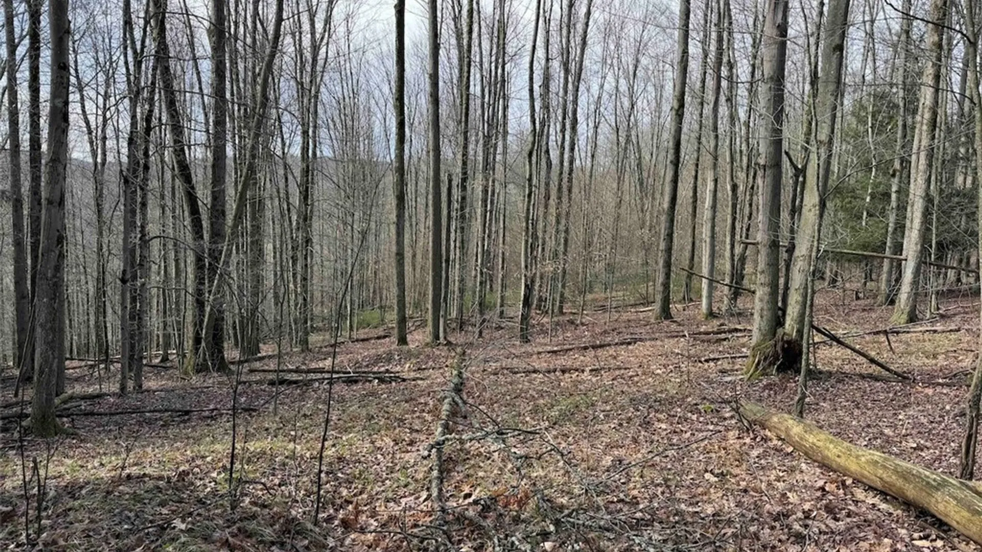 Property at McCann Hollow Road, Olean, NY 14760 29