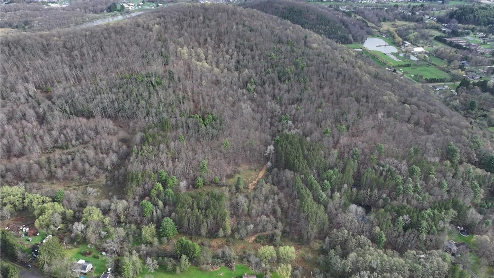 Property at McCann Hollow Road, Olean, NY 14760 3