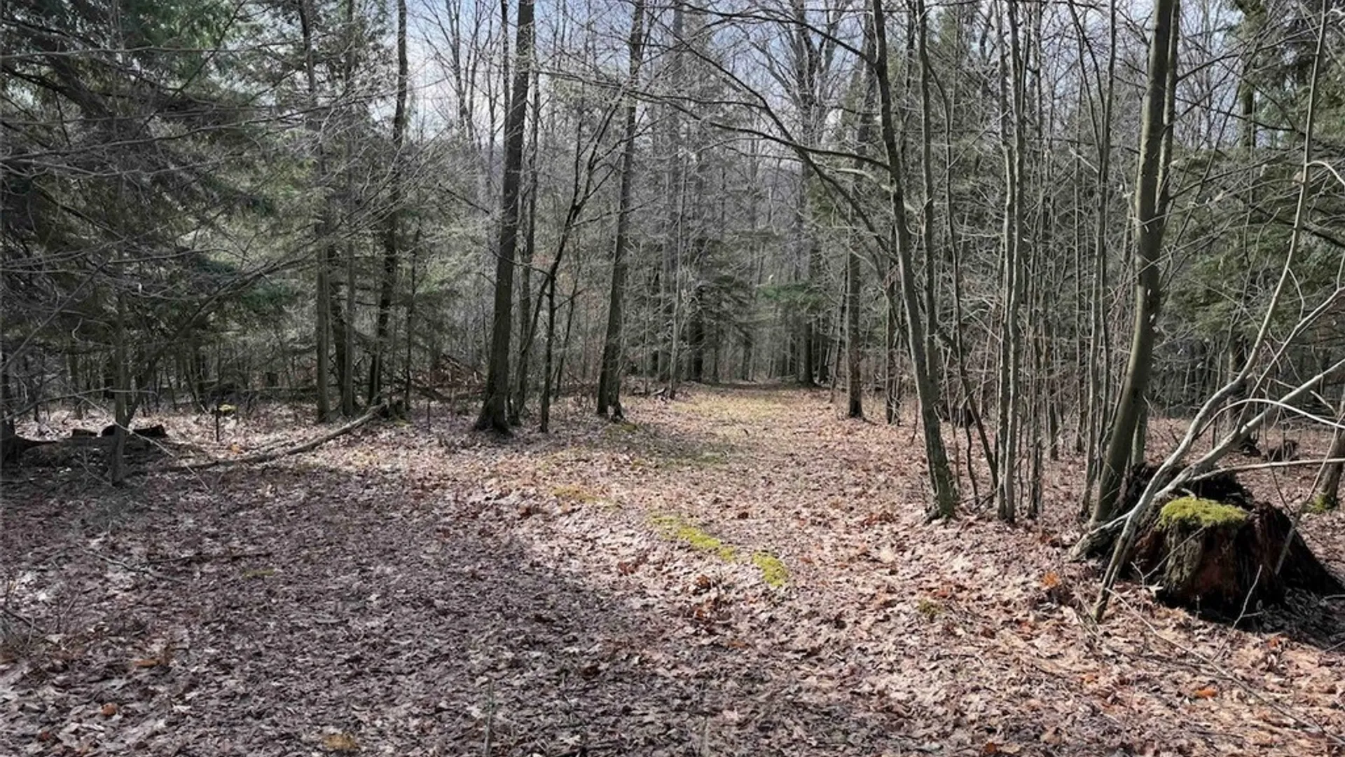 Property at McCann Hollow Road, Olean, NY 14760 30