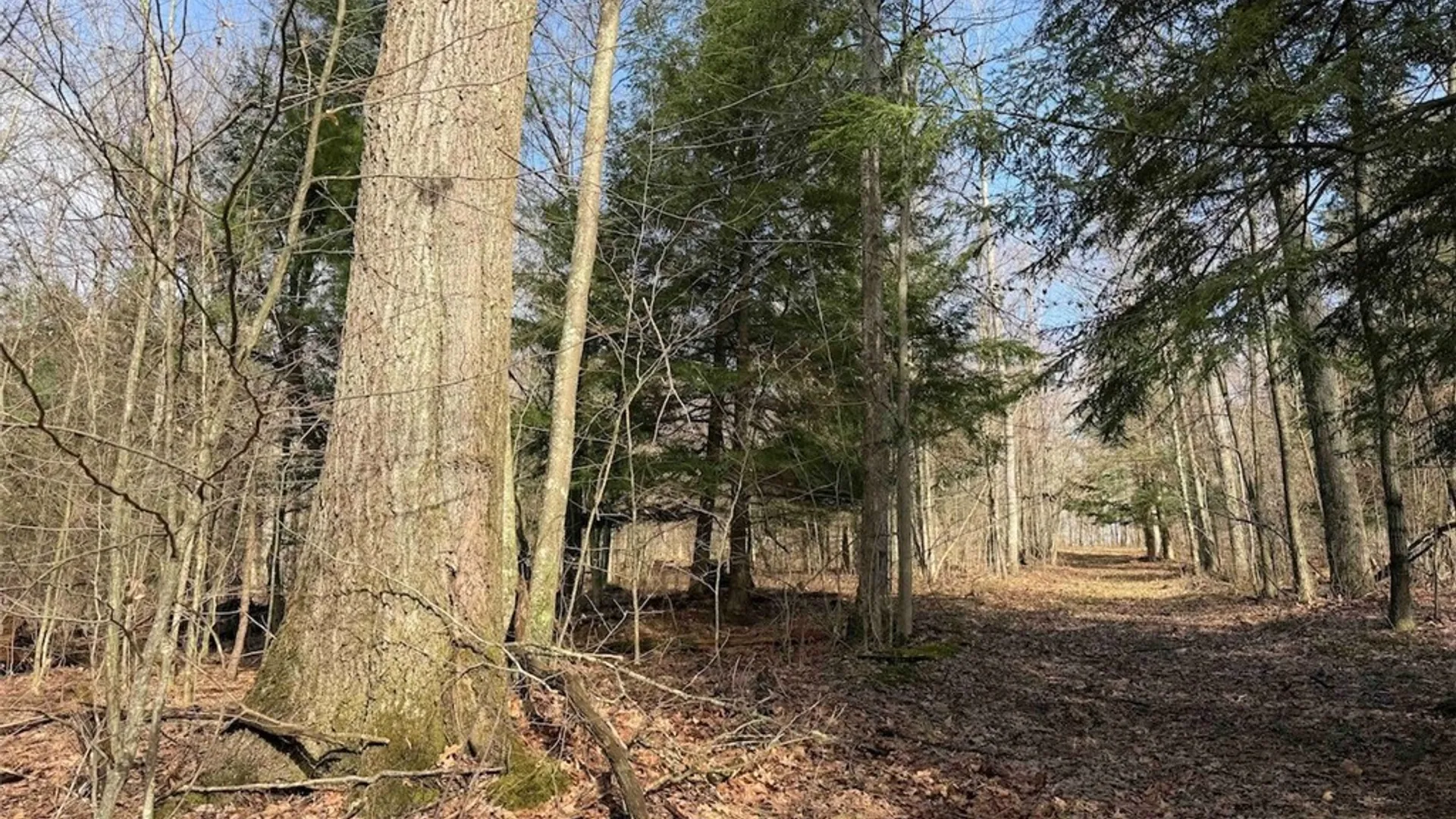 Property at McCann Hollow Road, Olean, NY 14760 32