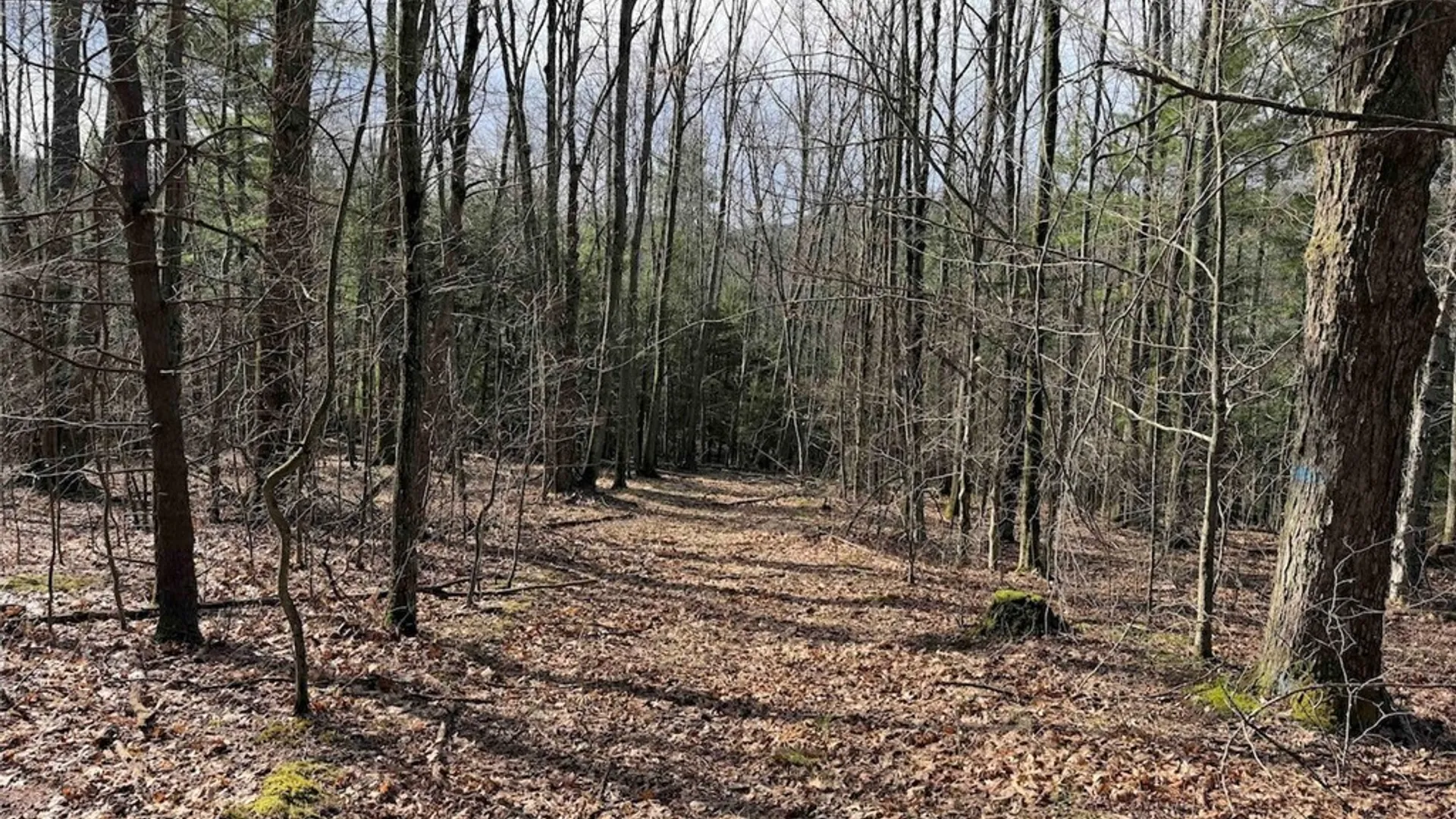 Property at McCann Hollow Road, Olean, NY 14760 33