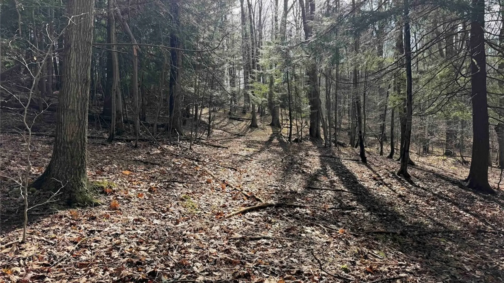 Property at McCann Hollow Road, Olean, NY 14760 34