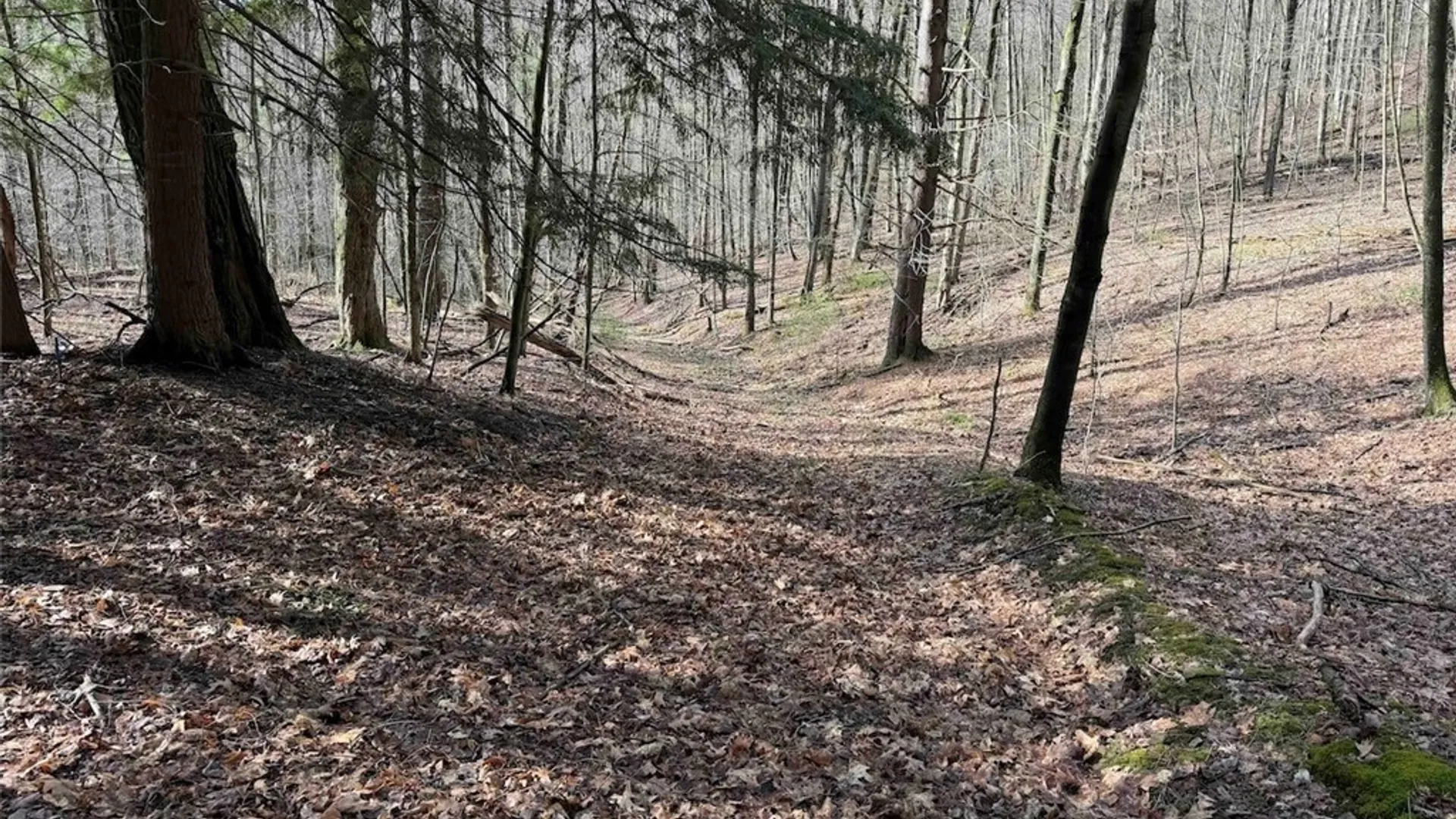 Property at McCann Hollow Road, Olean, NY 14760 35