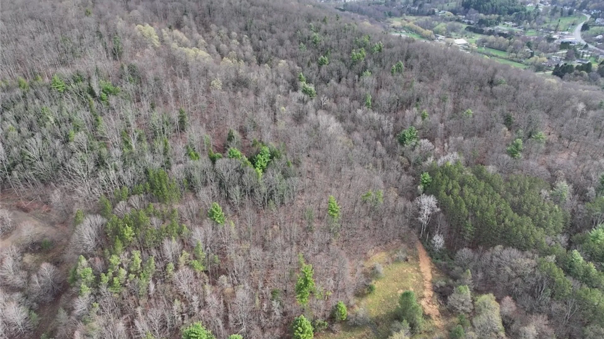 Property at McCann Hollow Road, Olean, NY 14760 4