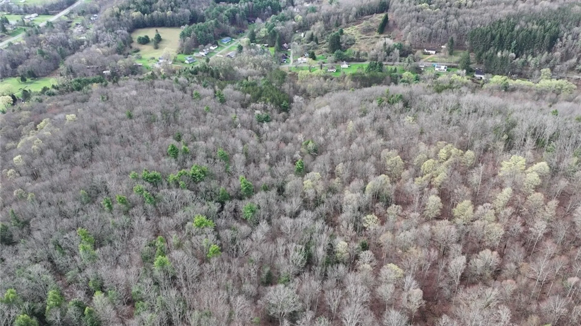 Property at McCann Hollow Road, Olean, NY 14760 6