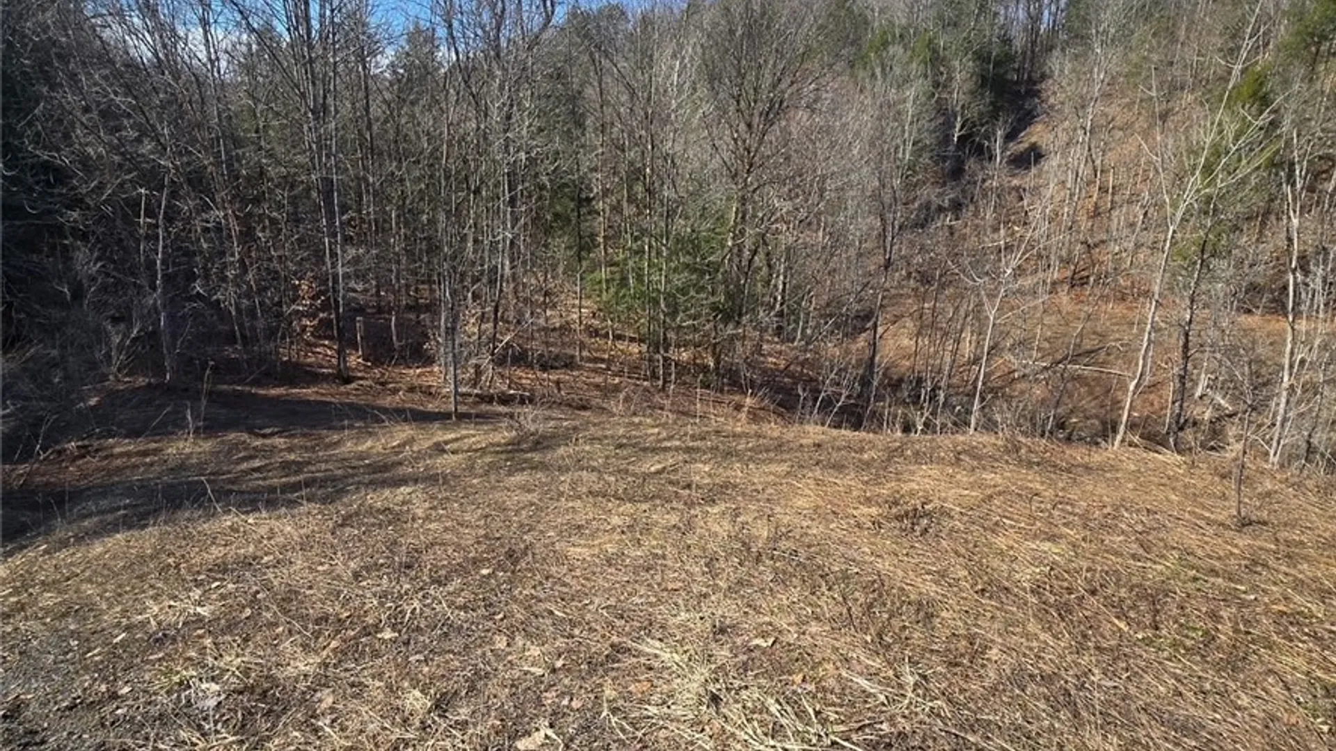 Property at Newport Road, Schuyler, NY 13502 3