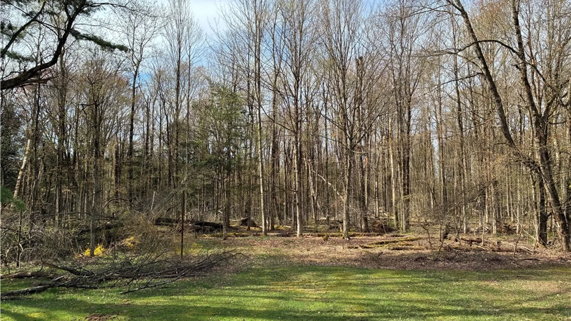 Property at 8017 Glenwood Drive, Floyd, NY 13440 6