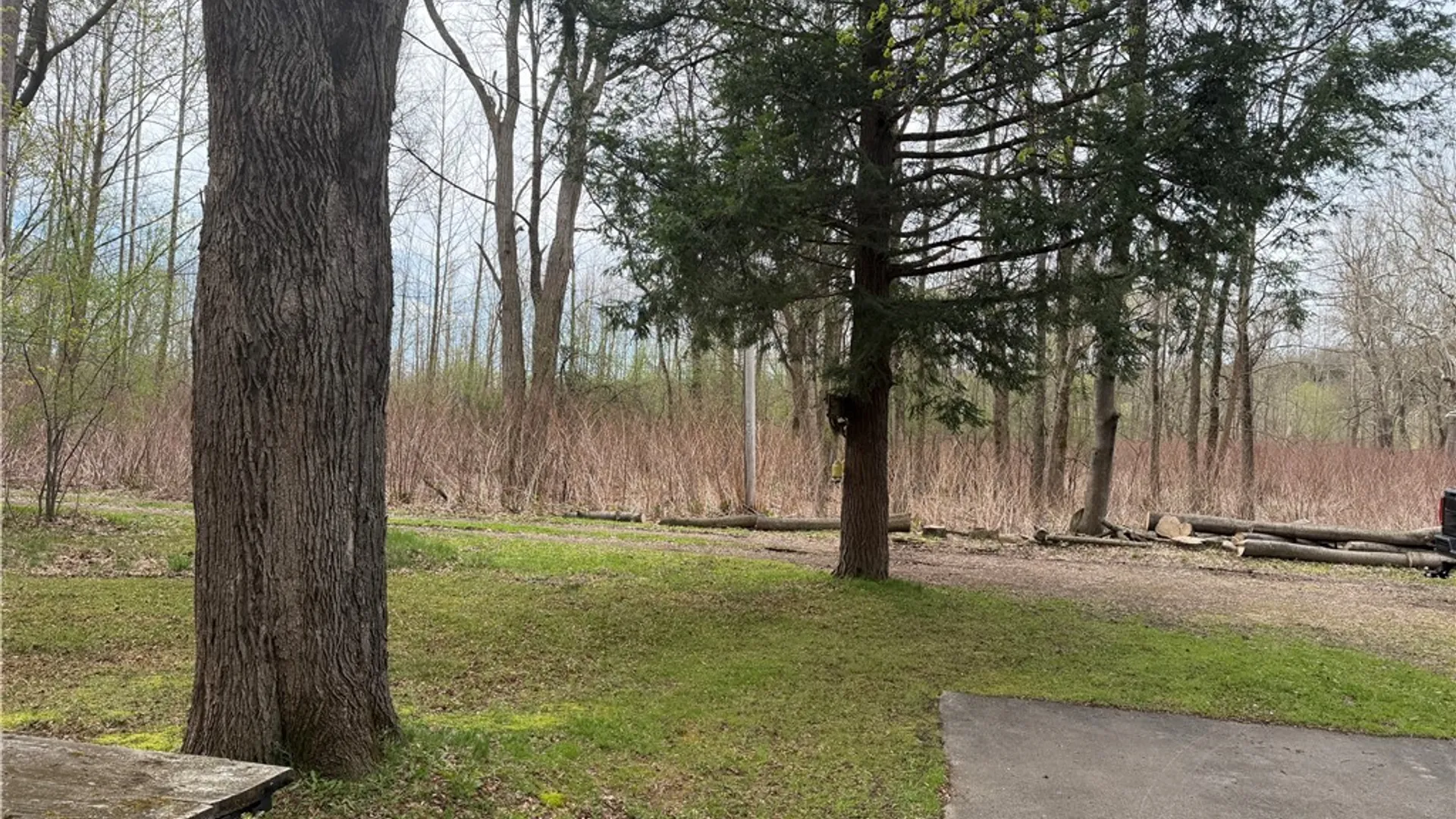 Property at 3261 Riverside Drive, Scio, NY 14895 12