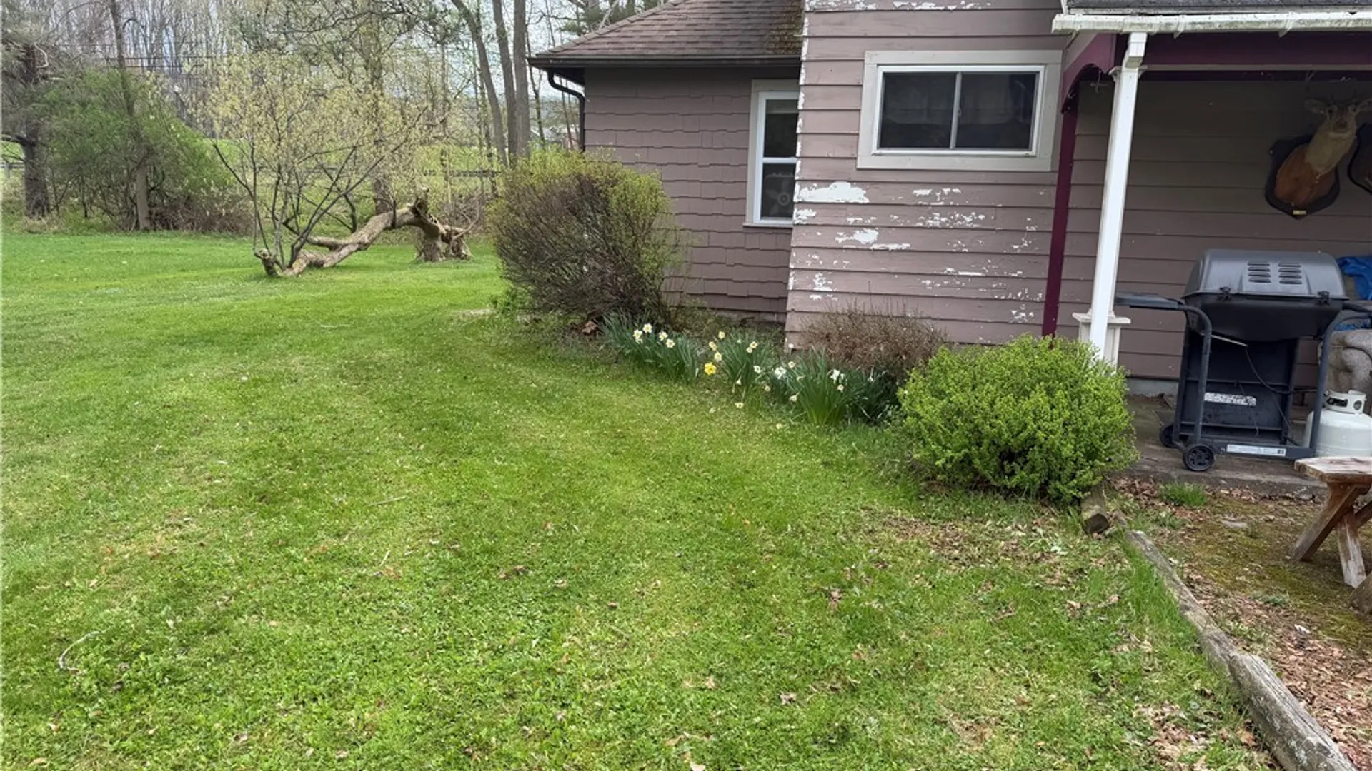 Property at 3261 Riverside Drive, Scio, NY 14895 7