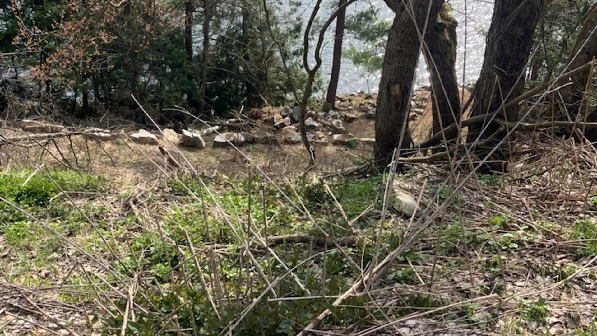 Property at 29809 Sears Road, Theresa, NY 13691 12