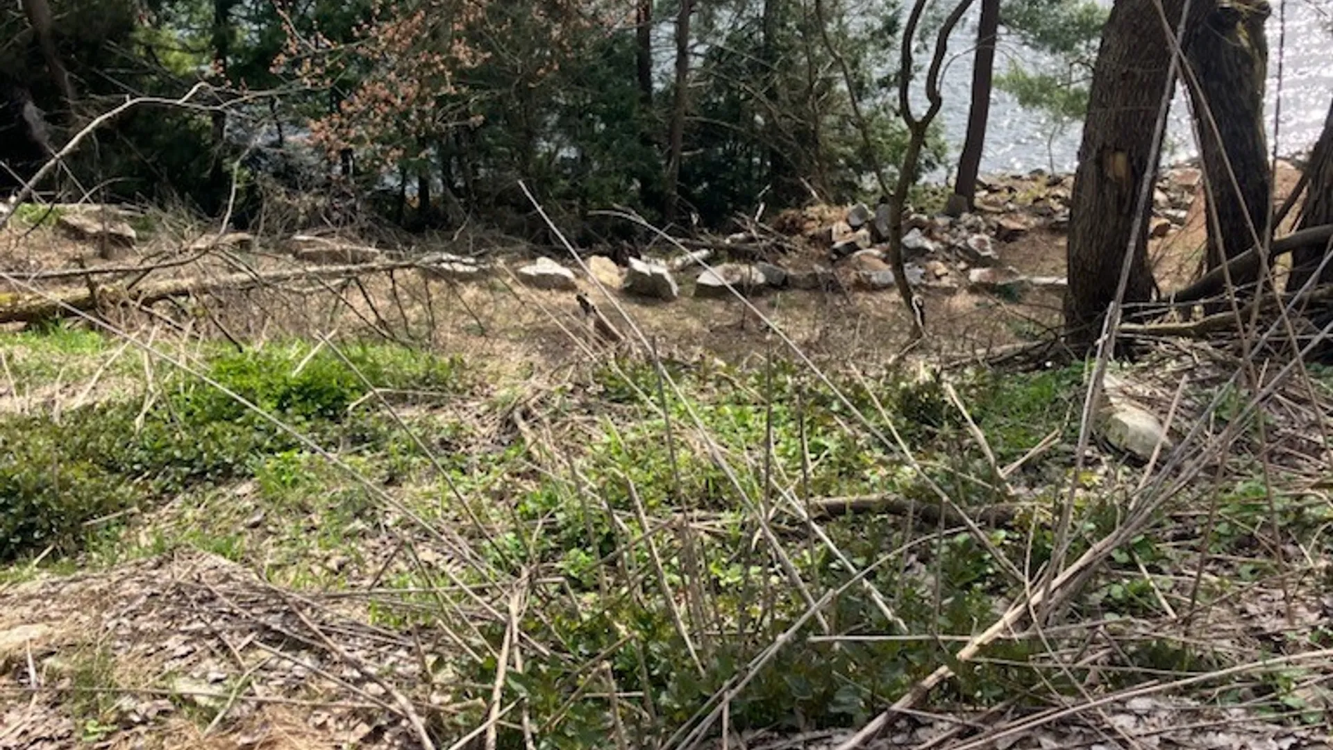 Property at 29809 Sears Road, Theresa, NY 13691 14