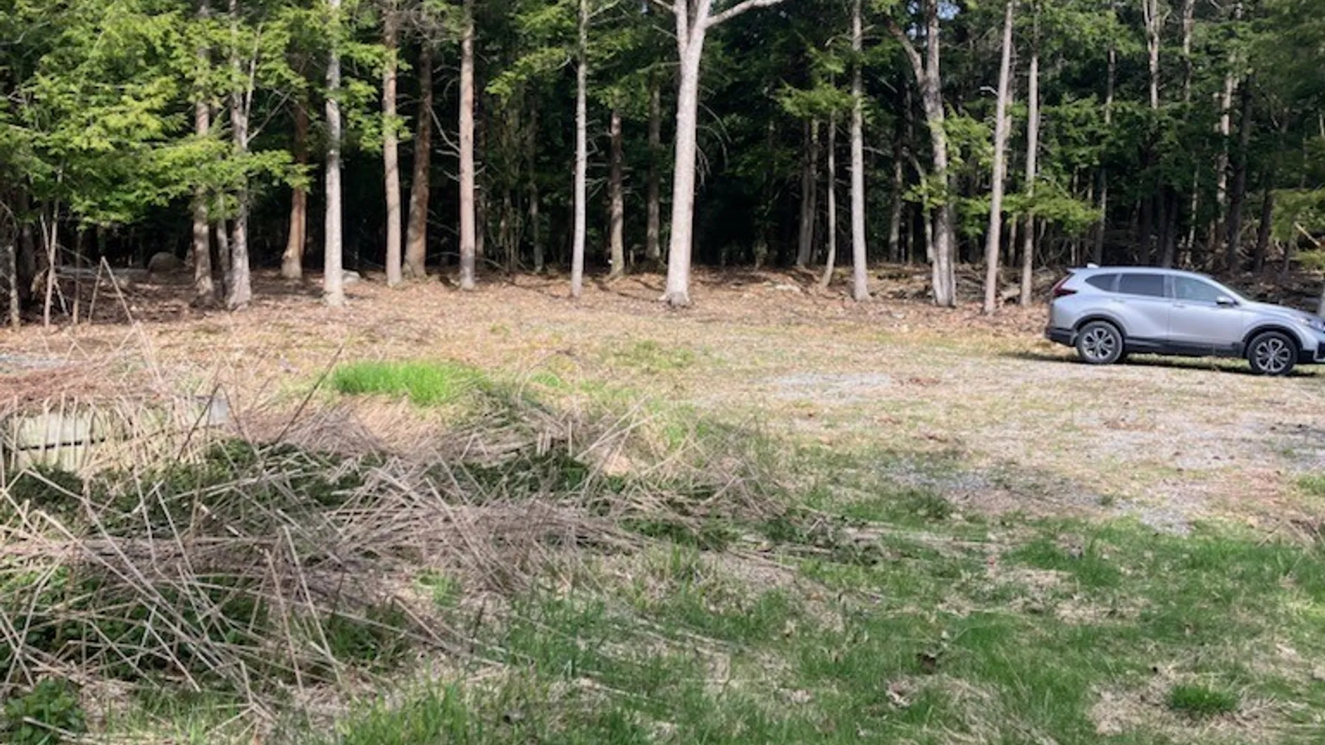 Property at 29809 Sears Road, Theresa, NY 13691 15