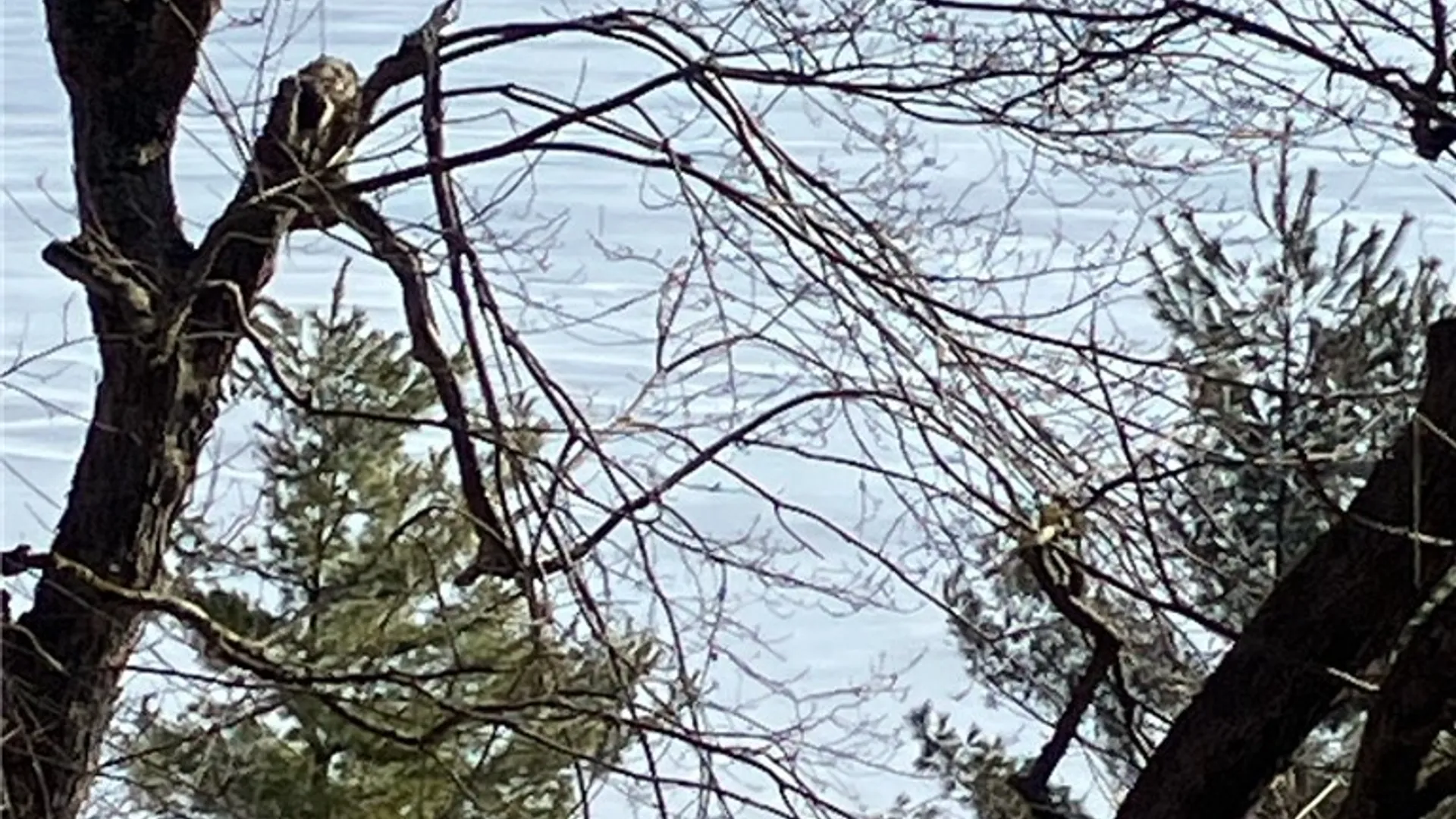 Property at 29809 Sears Road, Theresa, NY 13691 2