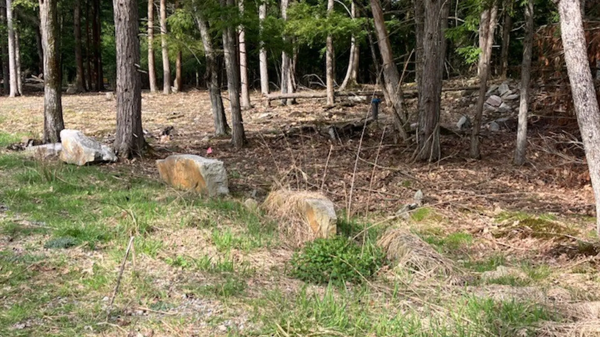 Property at 29809 Sears Road, Theresa, NY 13691 3