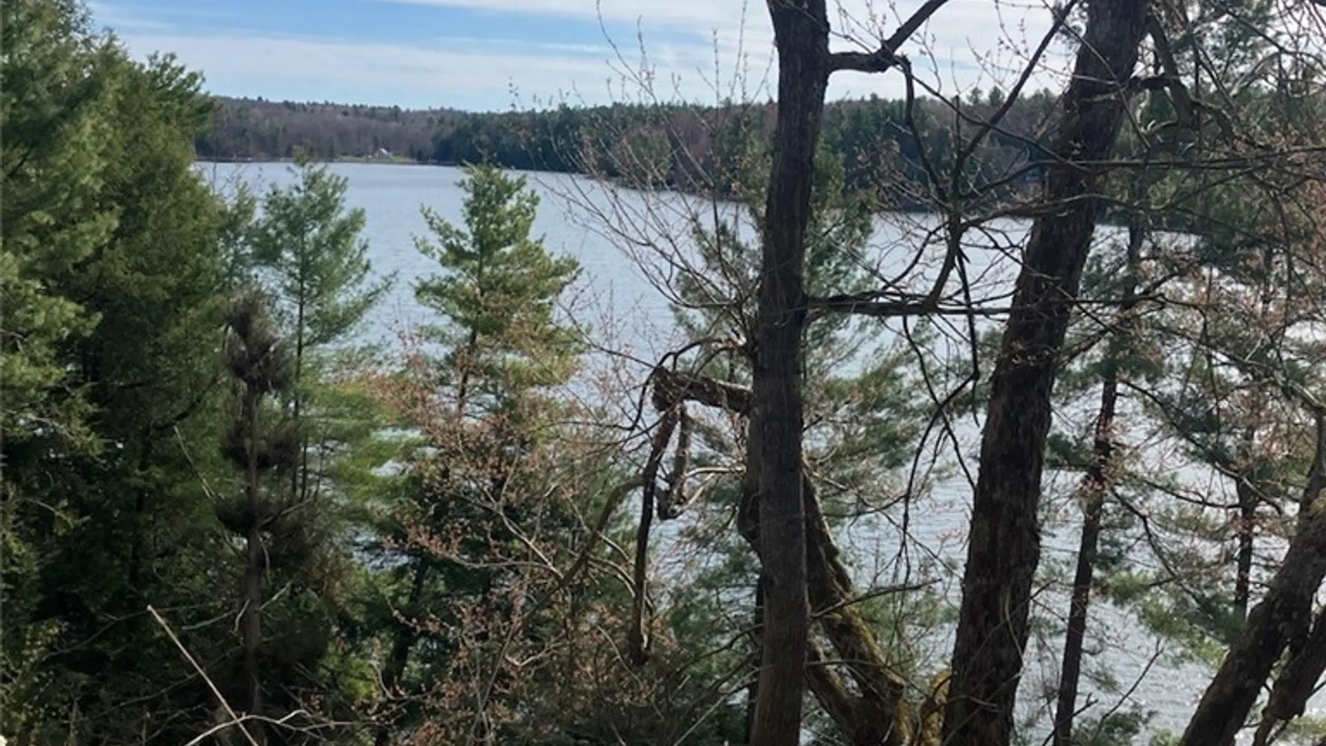Property at 29809 Sears Road, Theresa, NY 13691 4