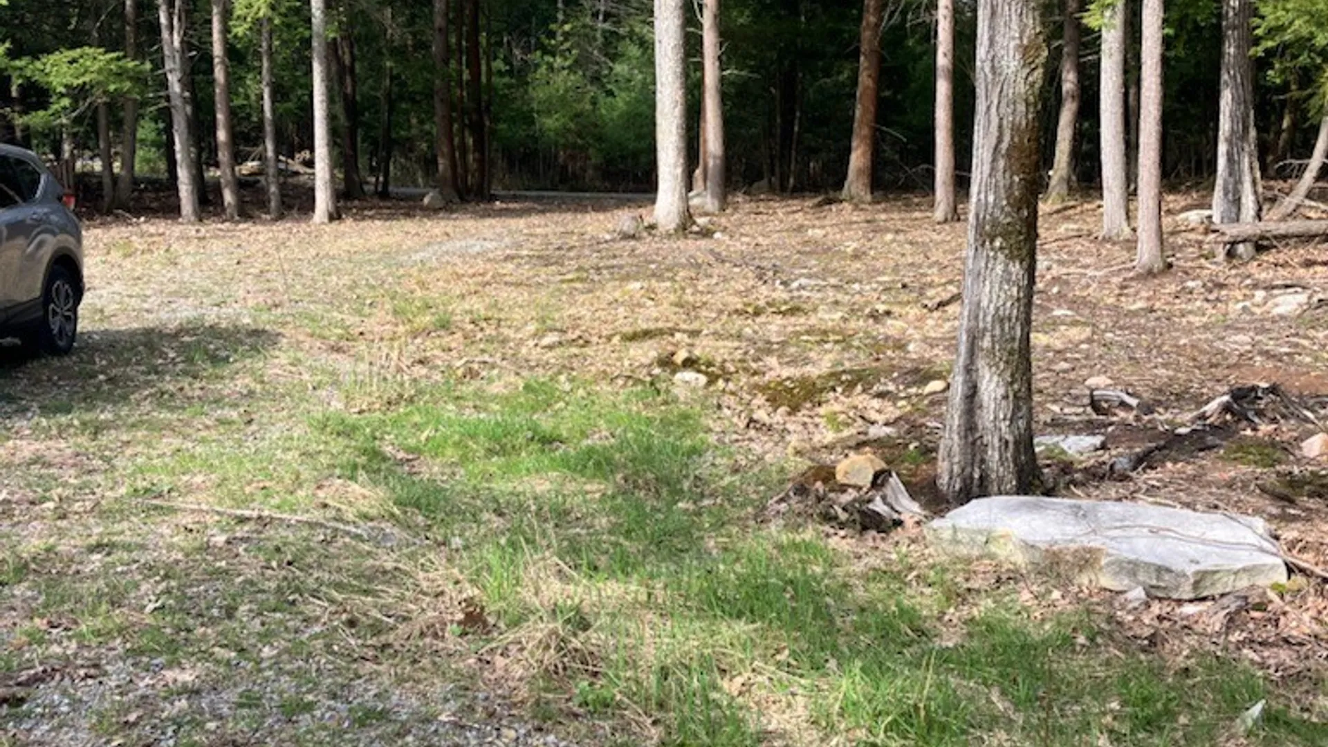 Property at 29809 Sears Road, Theresa, NY 13691 5