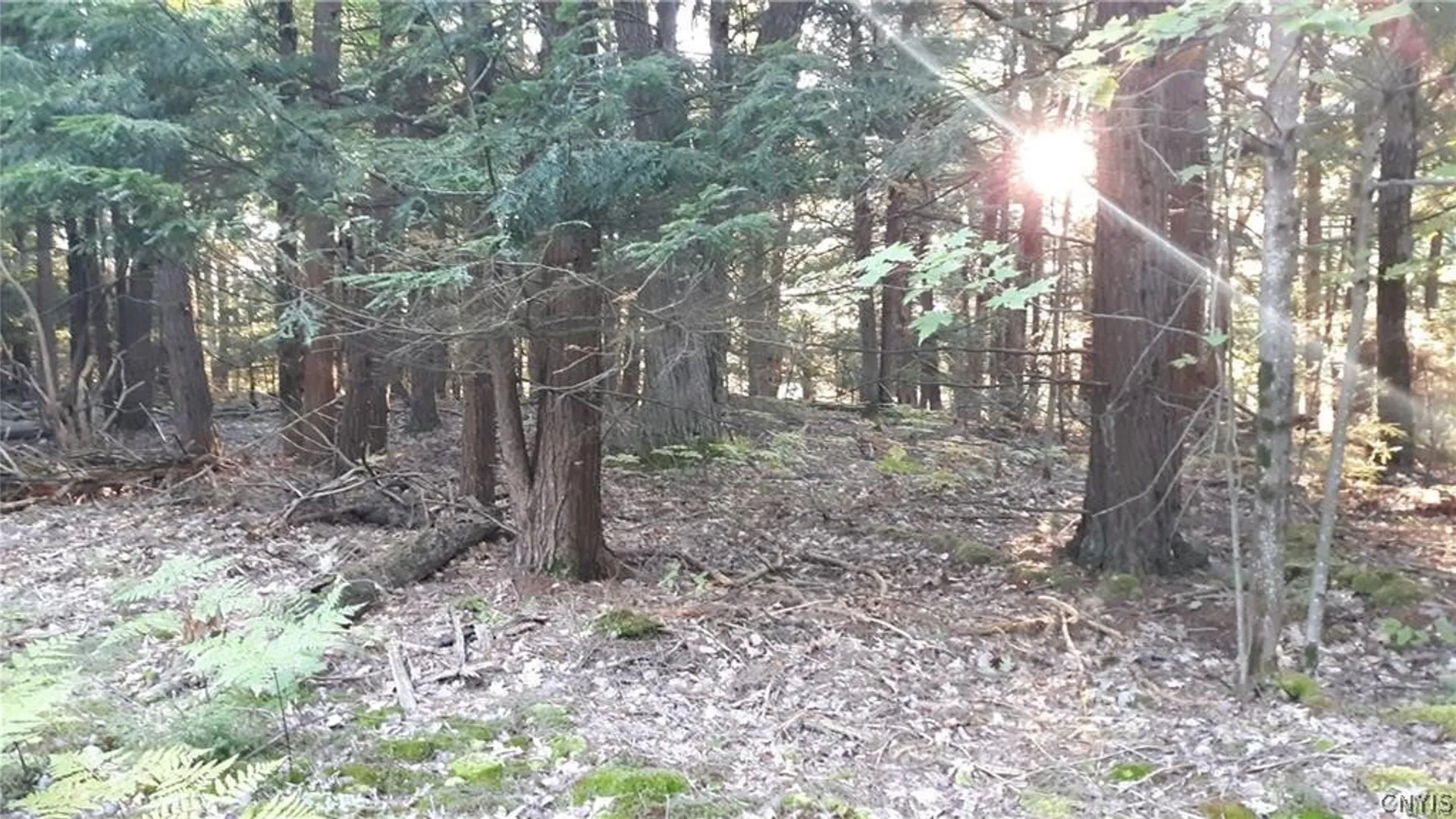 Property at 29809 Sears Road, Theresa, NY 13691 6