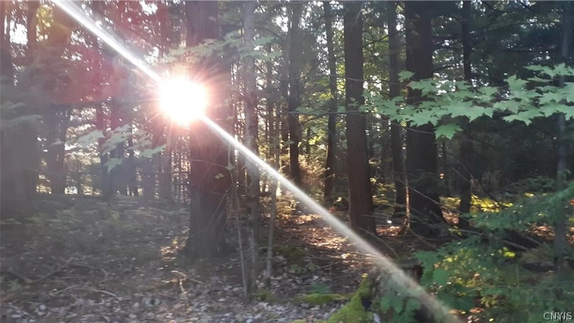 Property at 29809 Sears Road, Theresa, NY 13691 9