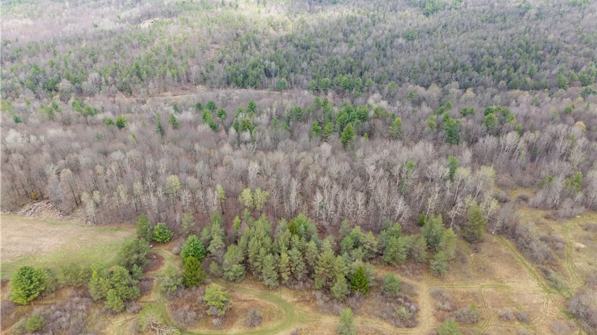 Property at 1951 Day Road, Dansville, NY 14572 43