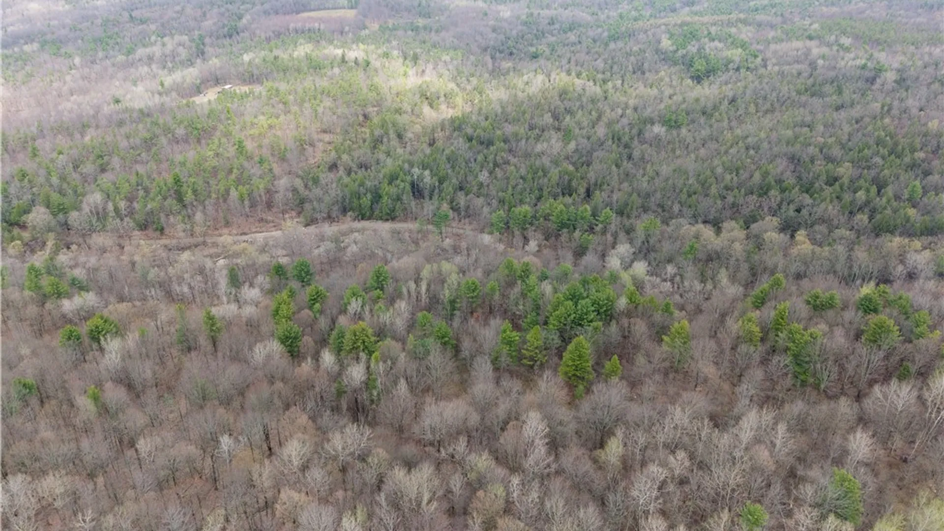 Property at 1951 Day Road, Dansville, NY 14572 44