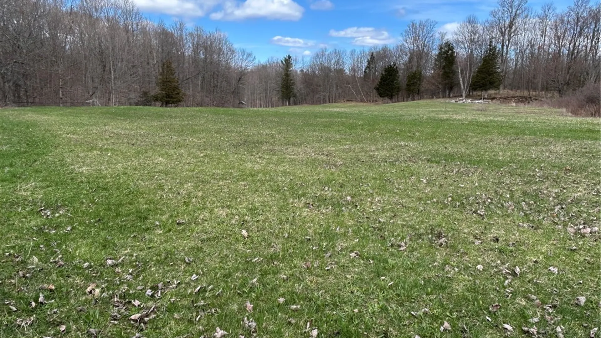 Property at 27561 Limestone Road, Alexandria, NY 13679 15