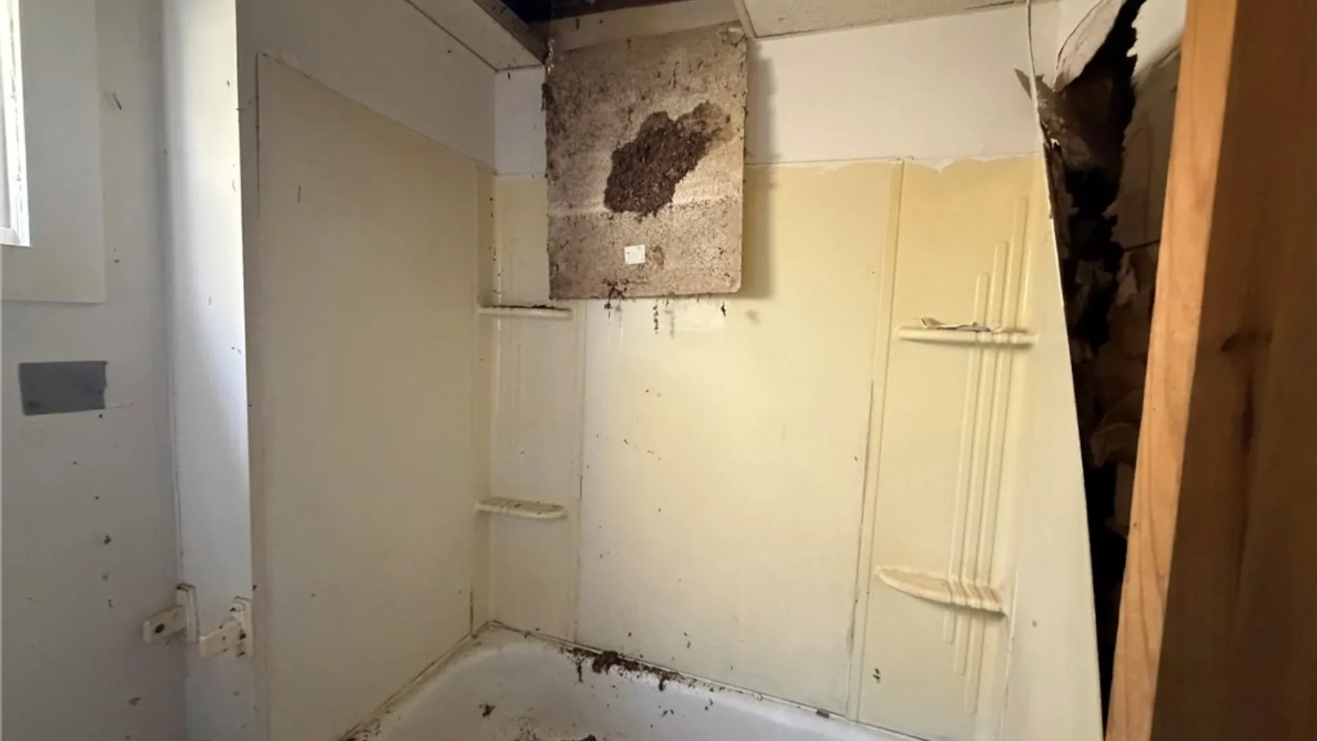 Property at 708 Green Street, Olean, NY 14760 10