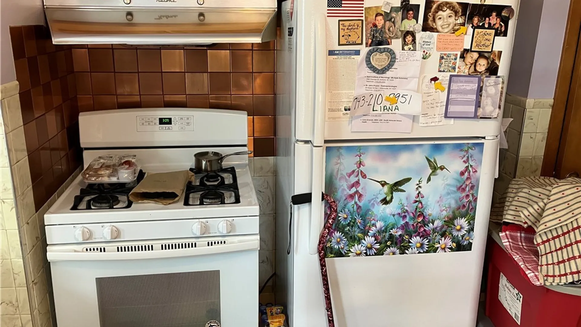 Property at 39 Balbach Drive, Cheektowaga, NY 14225 20