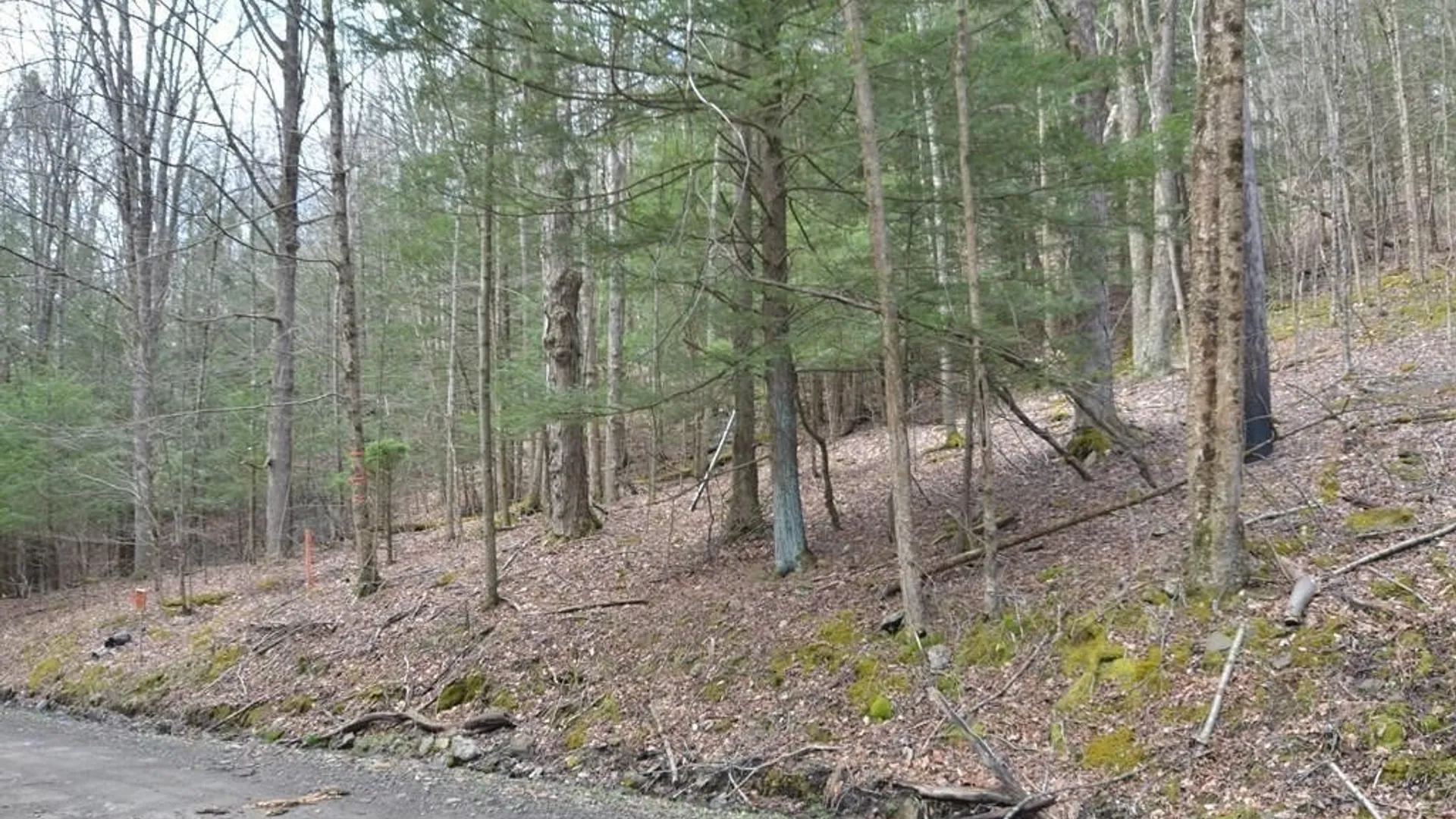 Property at 4235 Bellinger Hollow Road, Hornby, NY 14830 3