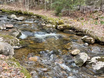 Property at 105 Red House Rd, Stratford, NY 13470