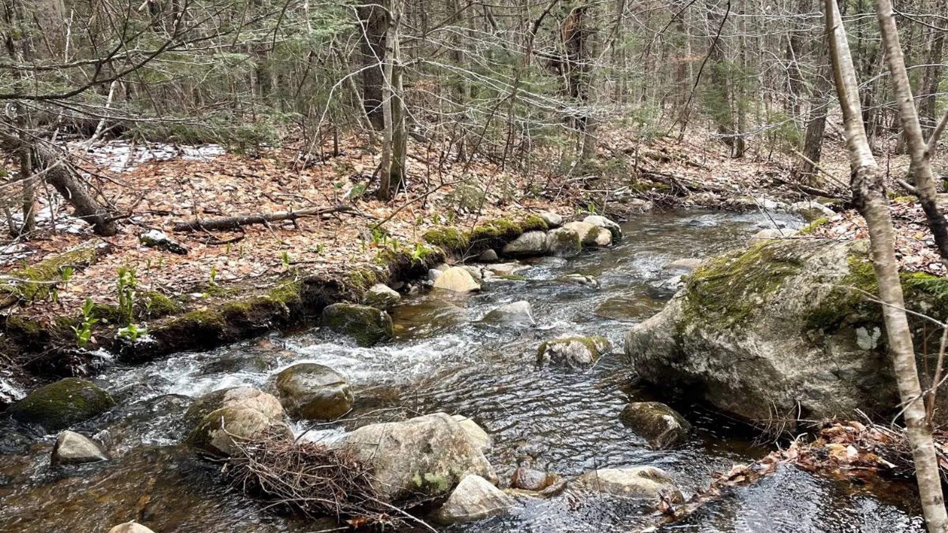 Property at 105 Red House Rd, Stratford, NY 13470 2