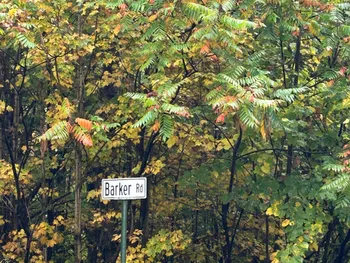 Property at 0 North Road, Dolgeville, NY 13329
