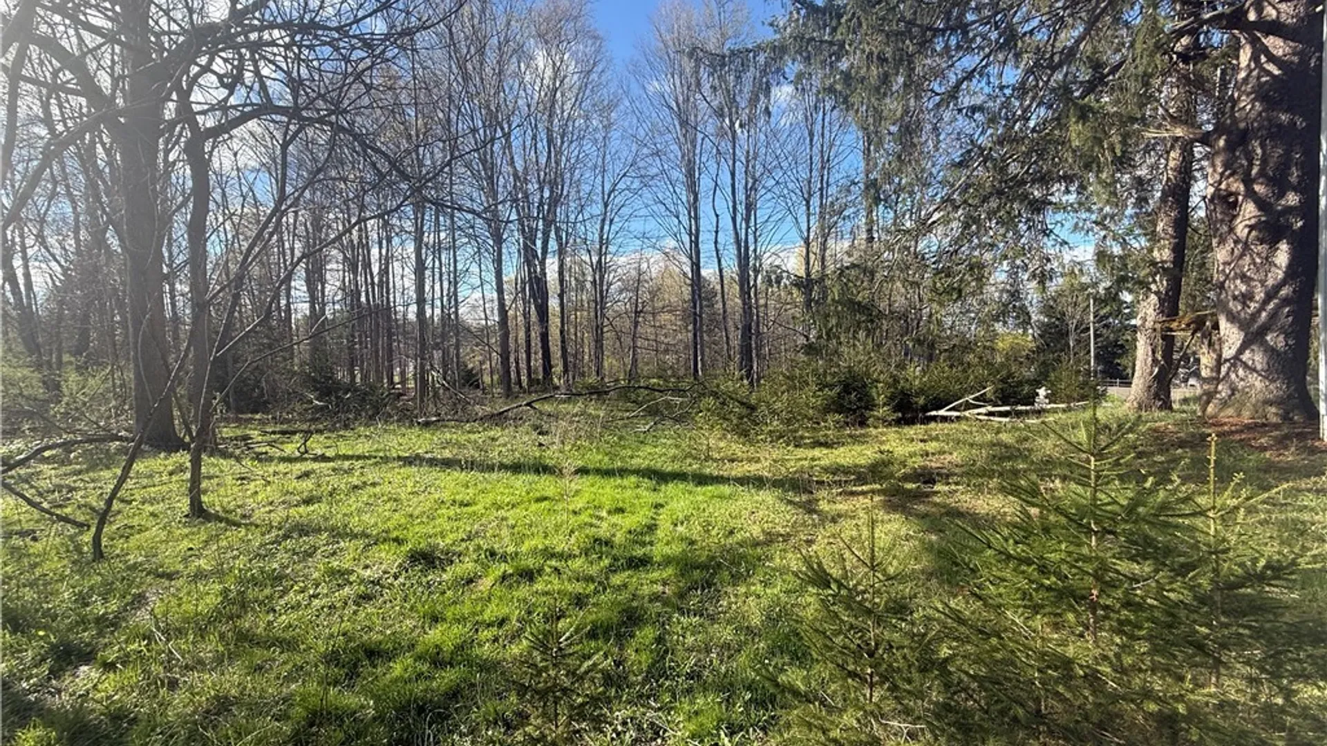 Property at 126 Fairmount Avenue, Busti, NY 14750 21