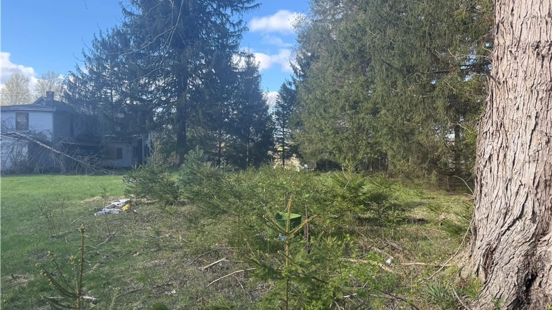 Property at 126 Fairmount Avenue, Busti, NY 14750 23