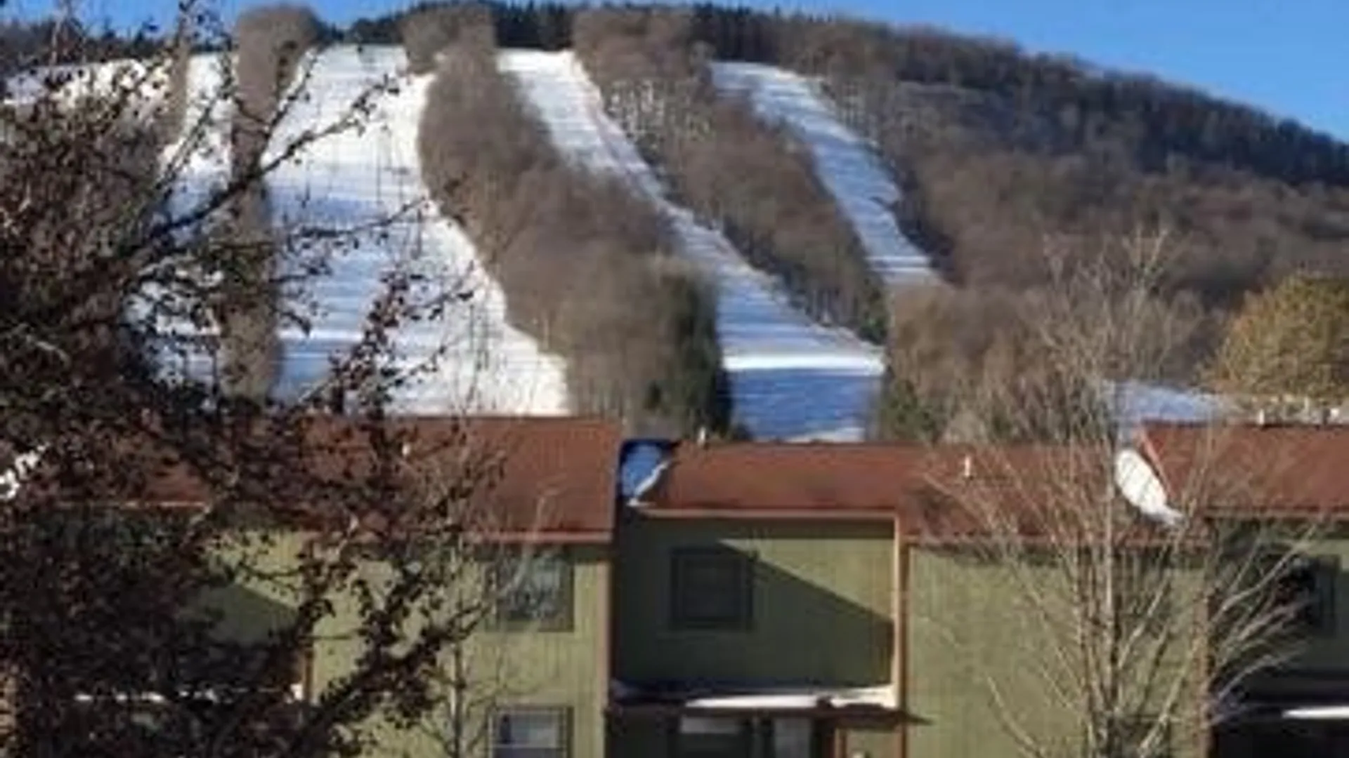 Property at 1983 Alpha Circle, Virgil, NY 13045 3