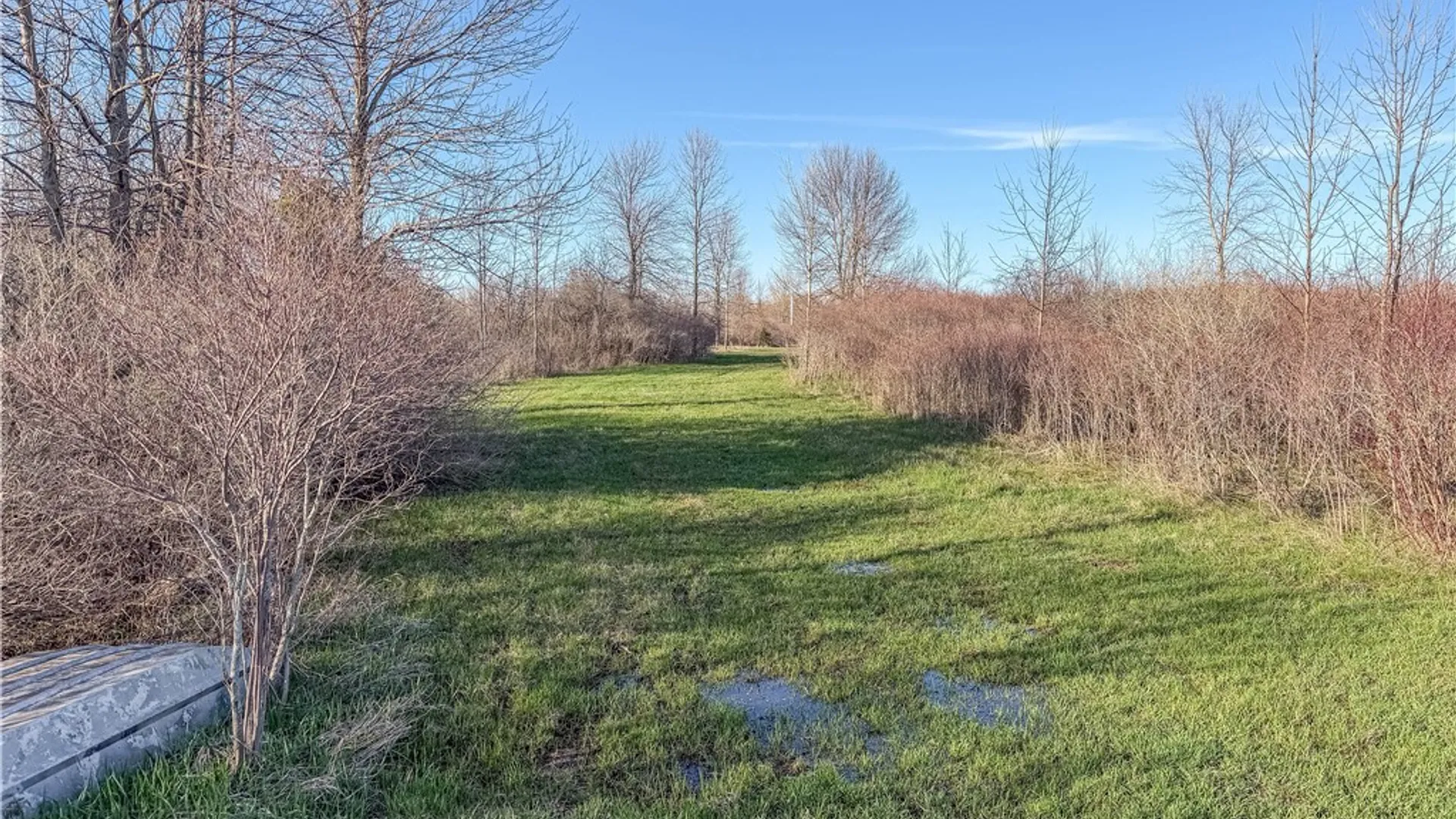 Property at Fire Rd 22, Lyme, NY 13693 12