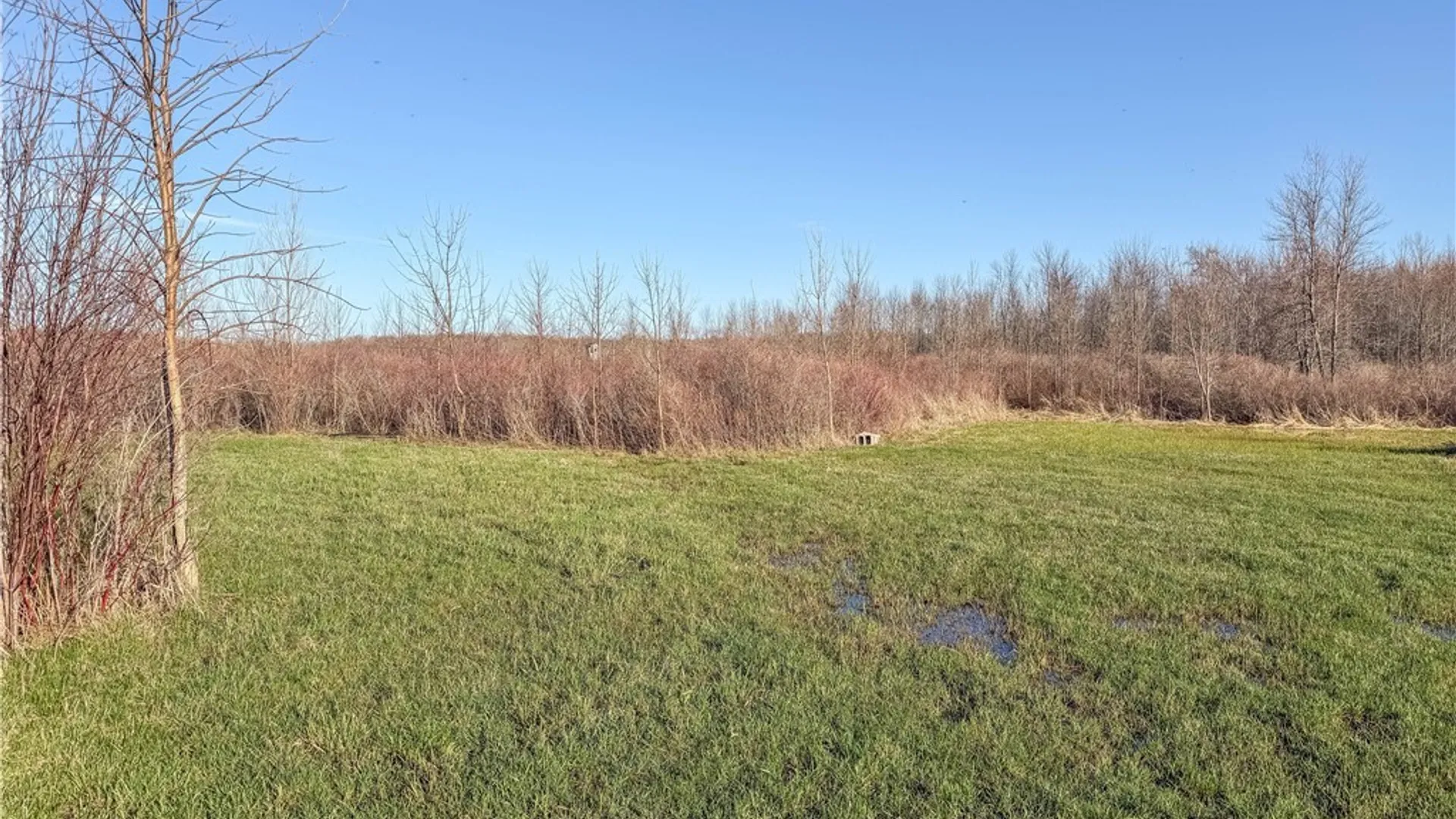 Property at Fire Rd 22, Lyme, NY 13693 9