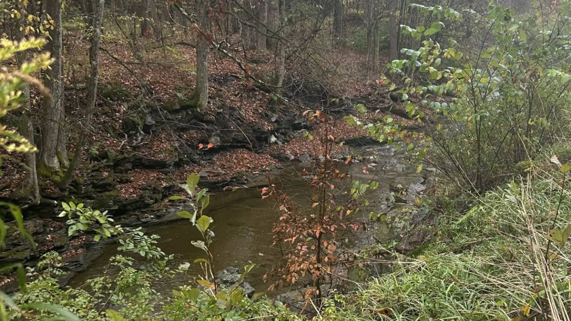 Property at 330 Indian Brook Rd, Greene, NY 13778 18