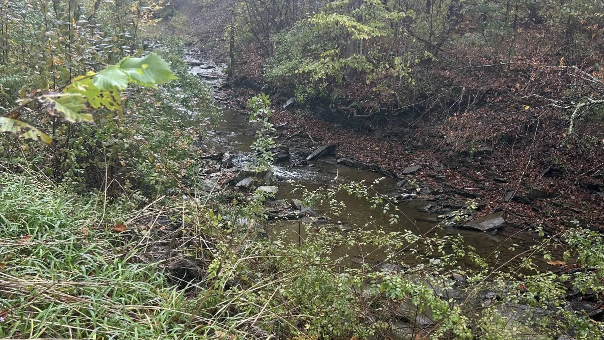 Property at 330 Indian Brook Rd, Greene, NY 13778 19