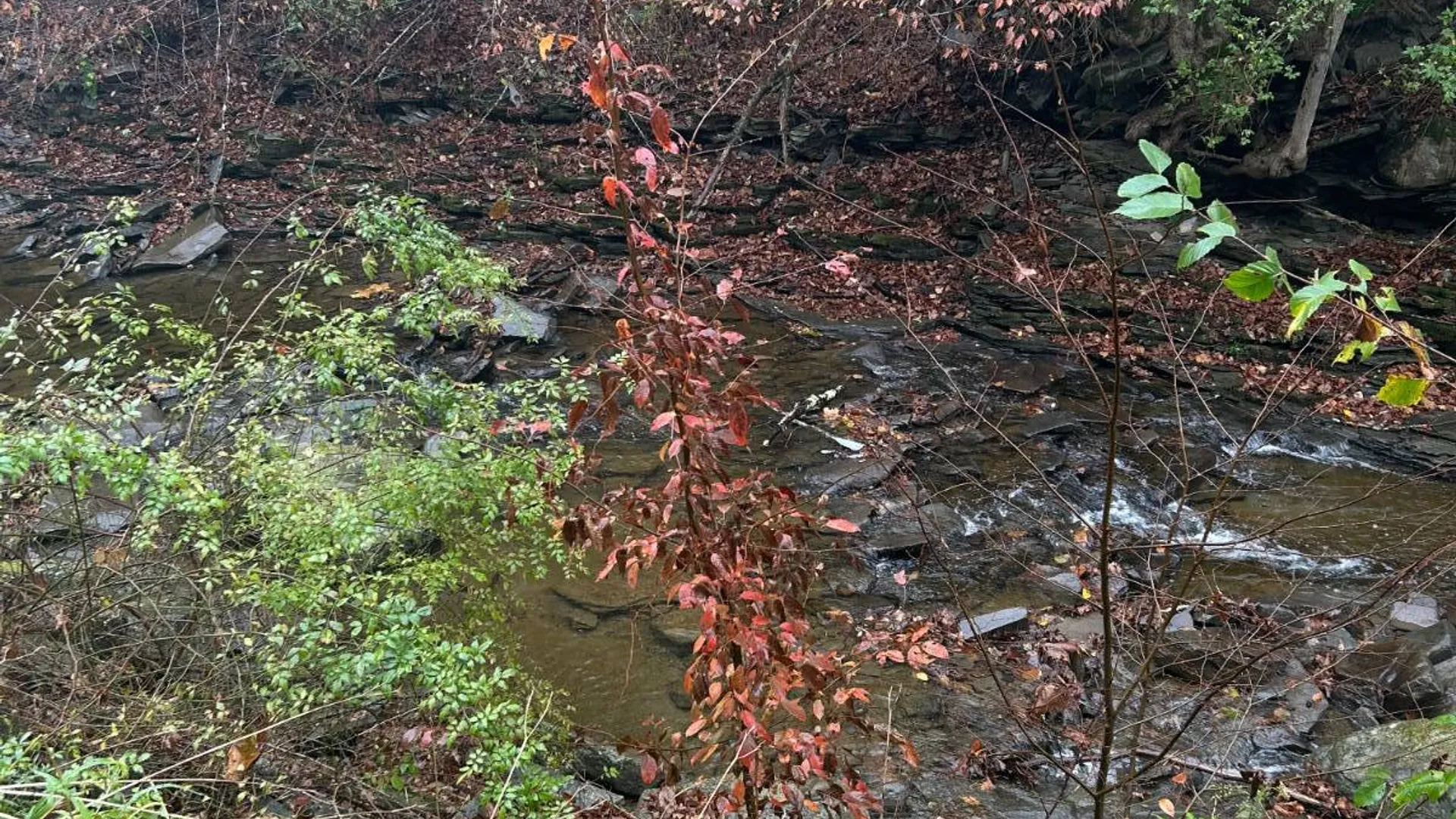 Property at 330 Indian Brook Rd, Greene, NY 13778 20
