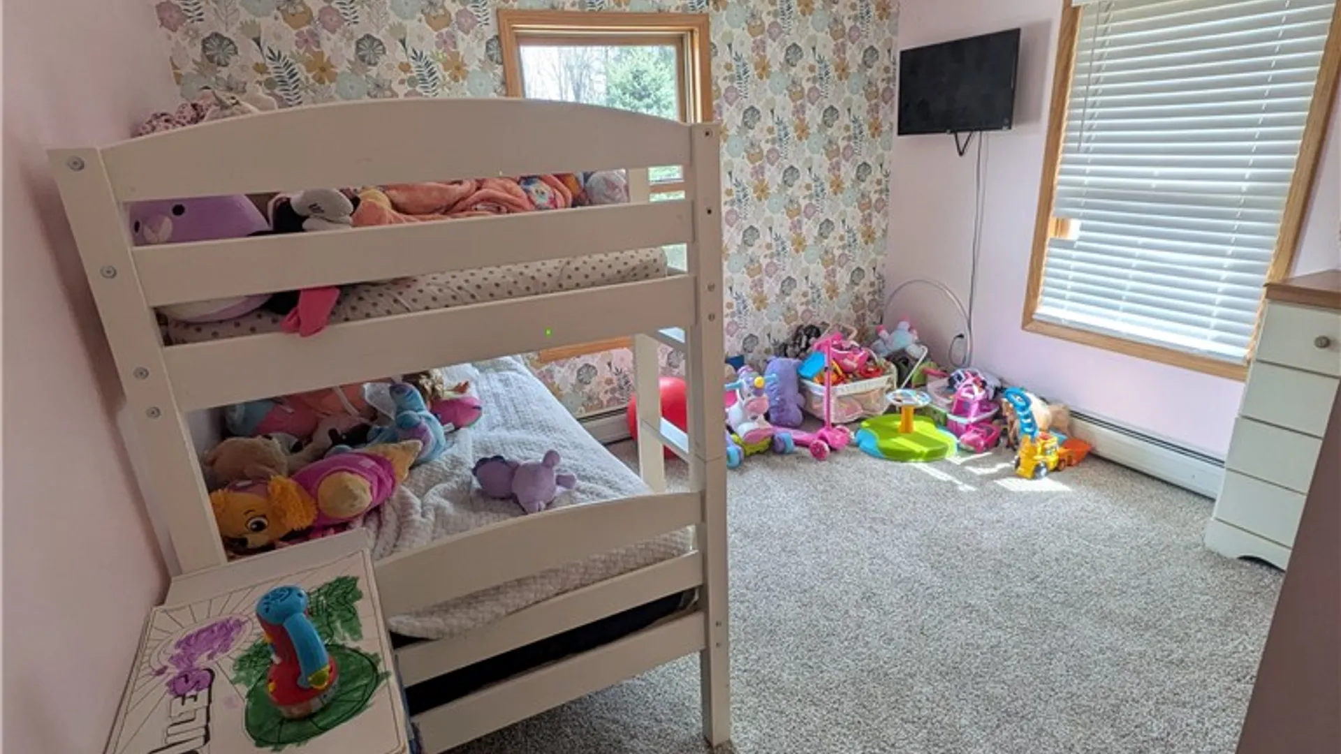 Property at 172 Albee Hill Road, Van Etten, NY 14889 11