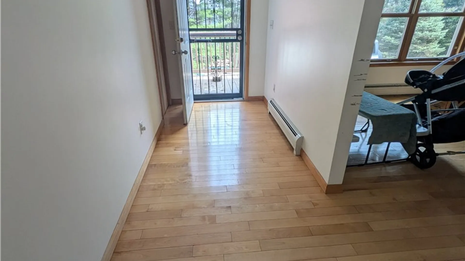 Property at 172 Albee Hill Road, Van Etten, NY 14889 19