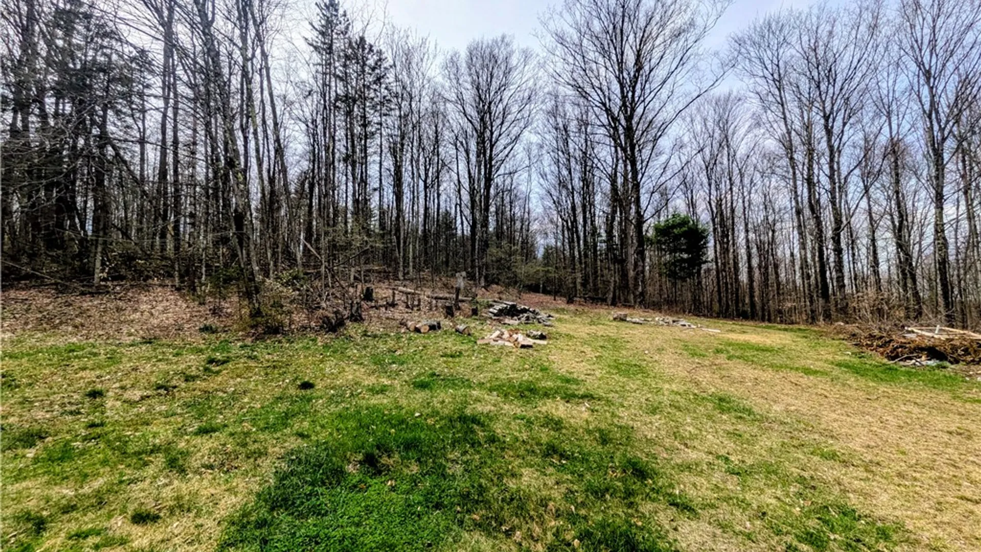 Property at 172 Albee Hill Road, Van Etten, NY 14889 24