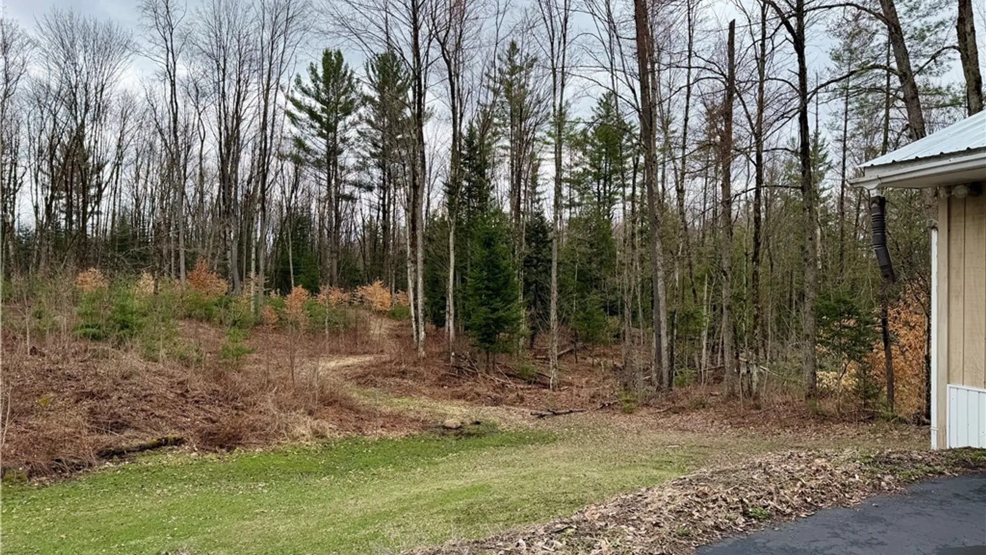 Property at 6918 Chases Lake Road, Watson, NY 13343 41