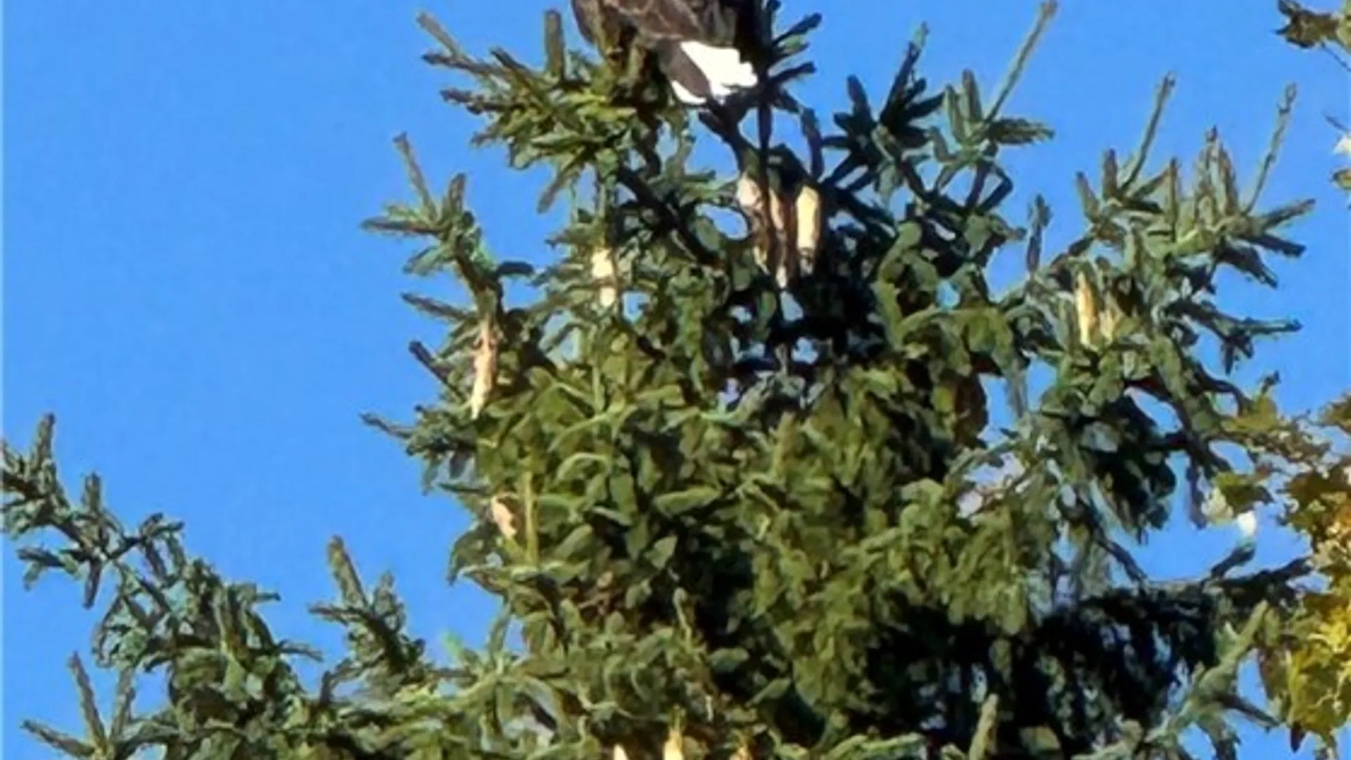 Property at 3725 County Route 57-Scriba, Scriba, NY 13126 40