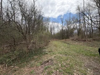 Property at Peck Hill Road, Manlius, NY 13104
