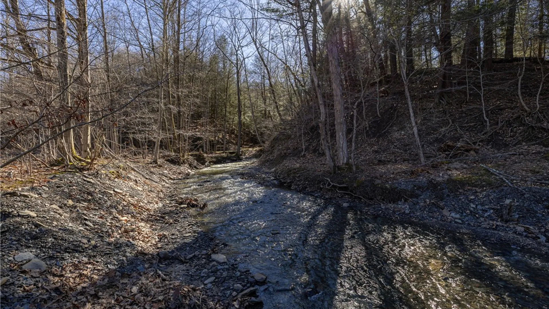 Property at 7209 County Road 32, Bristol, NY 14424 11